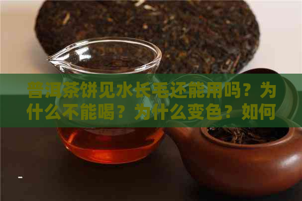 普洱茶饼见水长毛还能用吗？为什么不能喝？为什么变色？如何处理？