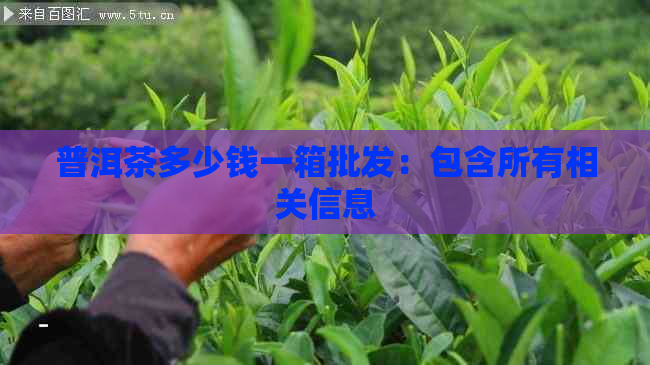 普洱茶多少钱一箱批发：包含所有相关信息