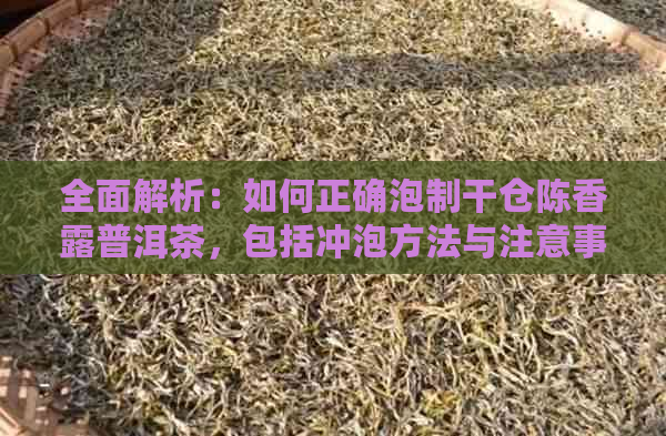 全面解析：如何正确泡制干仓陈香露普洱茶，包括冲泡方法与注意事项