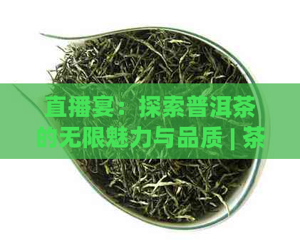 直播宴：探索普洱茶的无限魅力与品质 | 茶叶文化在线分享平台