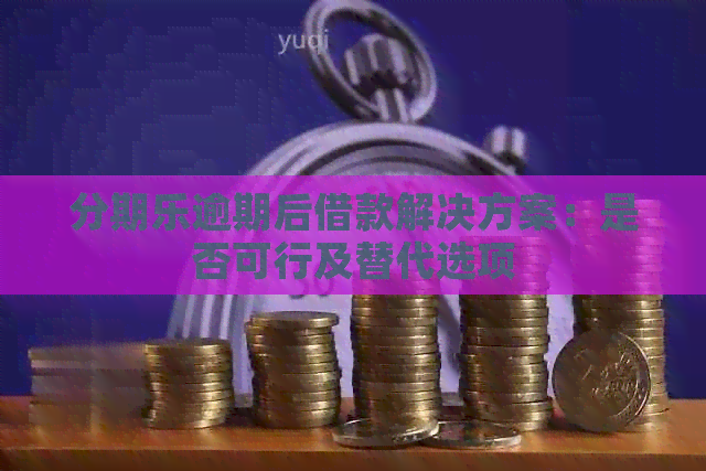 逾期后借款解决方案：是否可行及替代选项