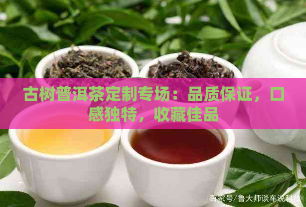 古树普洱茶定制专场：品质保证，口感独特，收藏佳品