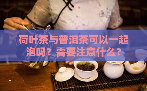 荷叶茶与普洱茶可以一起泡吗？需要注意什么？