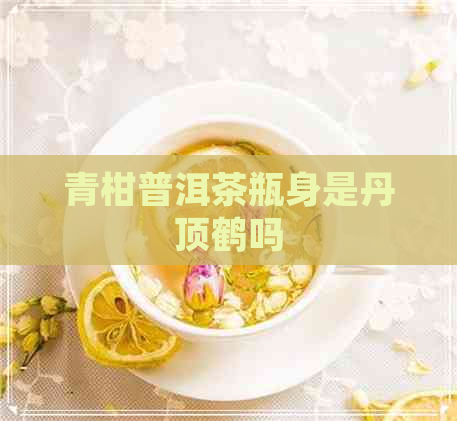 青柑普洱茶瓶身是丹顶鹤吗