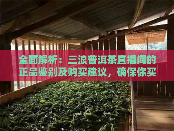 全面解析：三浪普洱茶直播间的正品鉴别及购买建议，确保你买到真的！