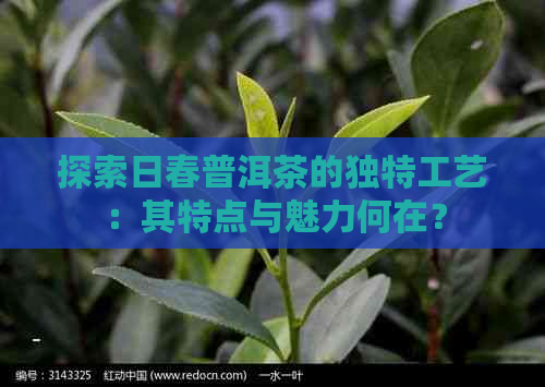 探索日春普洱茶的独特工艺：其特点与魅力何在？