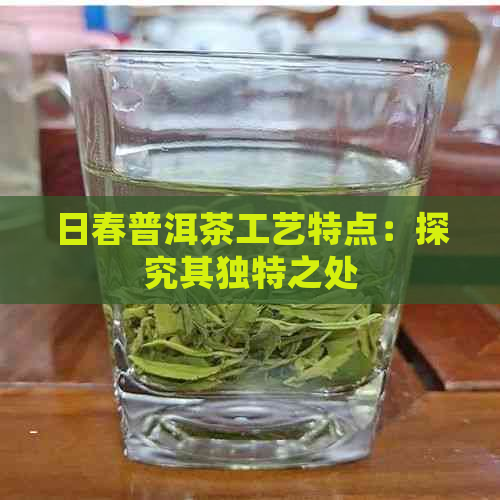 日春普洱茶工艺特点：探究其独特之处