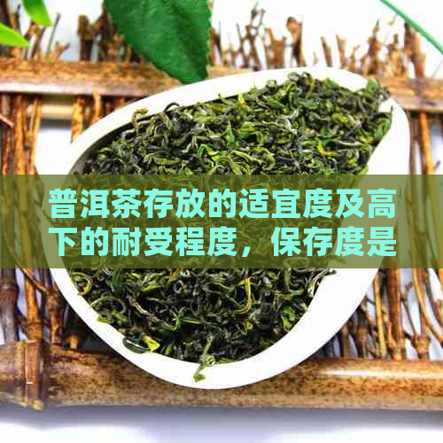 普洱茶存放的适宜度及高下的耐受程度，保存度是多少？