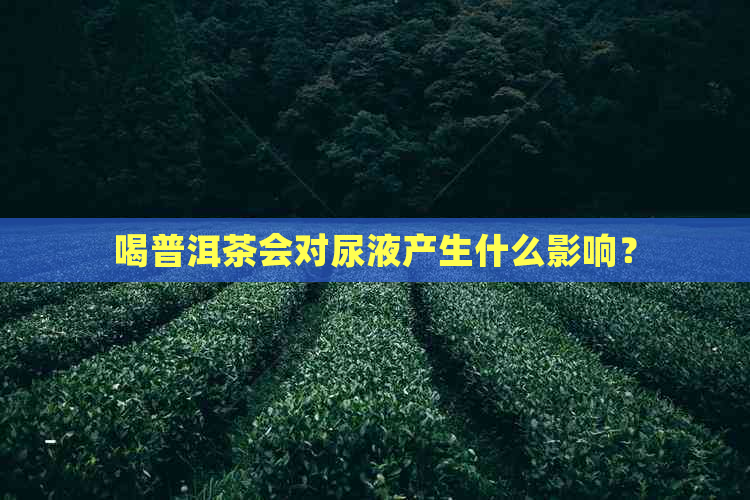 喝普洱茶会对尿液产生什么影响？