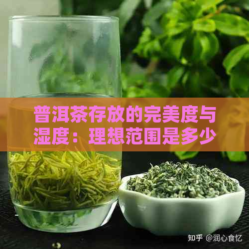 普洱茶存放的完美度与湿度：理想范围是多少？