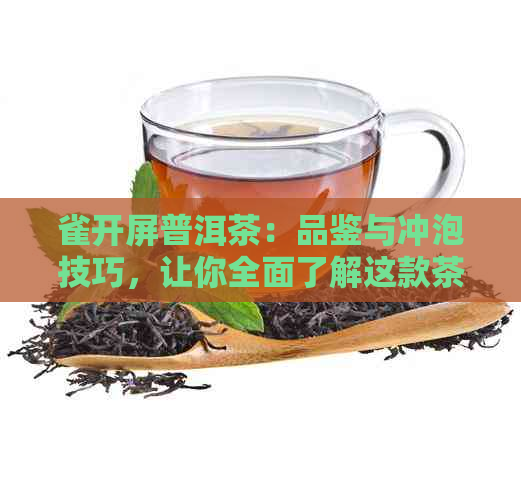 雀开屏普洱茶：品鉴与冲泡技巧，让你全面了解这款茶叶的魅力与口感