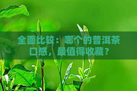 全面比较：哪个的普洱茶口感，最值得收藏？