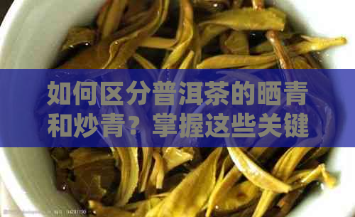 如何区分普洱茶的晒青和炒青？掌握这些关键要点！