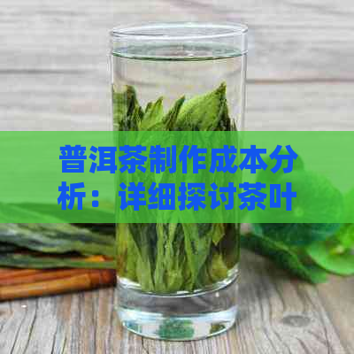 普洱茶制作成本分析：详细探讨茶叶的种植、加工与销售过程中的费用