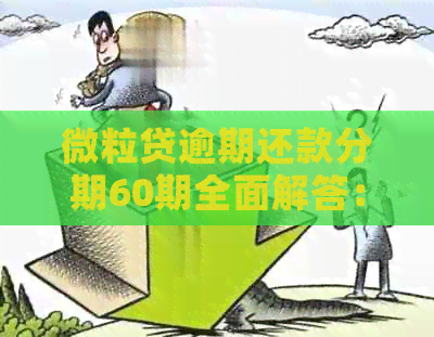 微粒贷逾期还款分期60期全面解答：如何避免逾期、期利息计算及解决方案