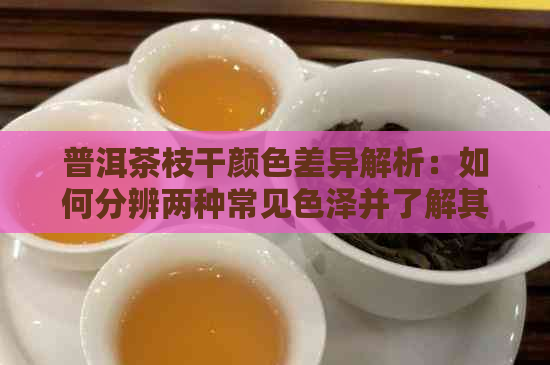 普洱茶枝干颜色差异解析：如何分辨两种常见色泽并了解其原因