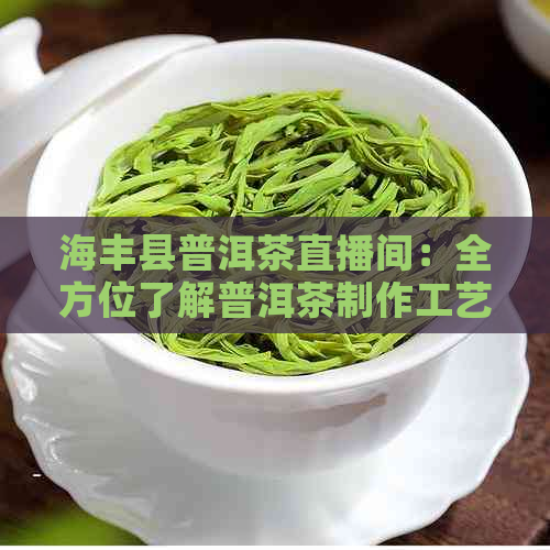 海丰县普洱茶直播间：全方位了解普洱茶制作工艺、品鉴技巧及直播购物指南