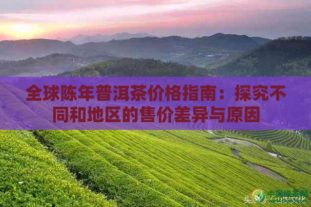 全球陈年普洱茶价格指南：探究不同和地区的售价差异与原因