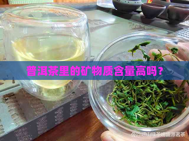 普洱茶里的矿物质含量高吗？