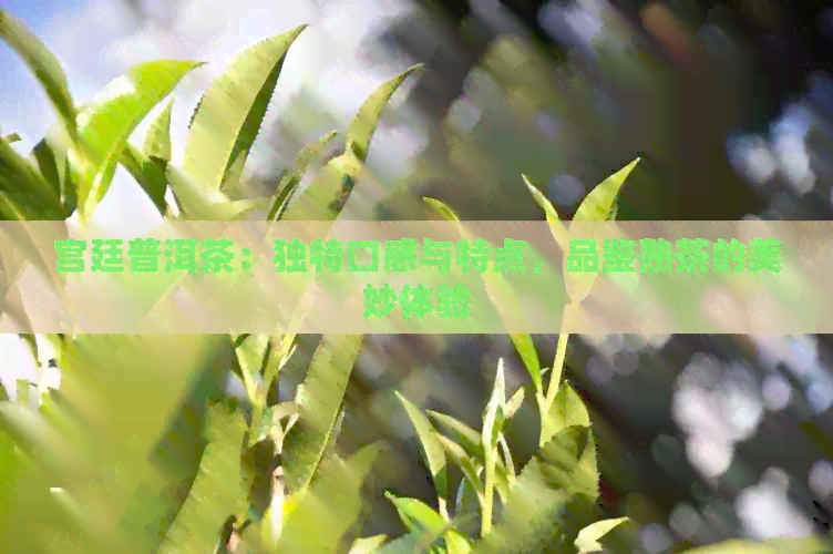 宫廷普洱茶：独特口感与特点，品鉴熟茶的美妙体验