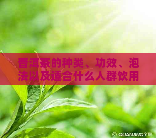 普洱茶的种类、功效、泡法以及适合什么人群饮用？