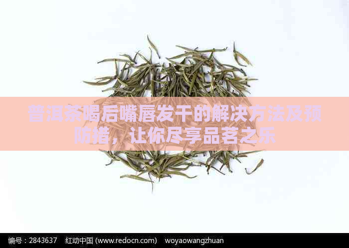 普洱茶喝后嘴唇发干的解决方法及预防措，让你尽享品茗之乐