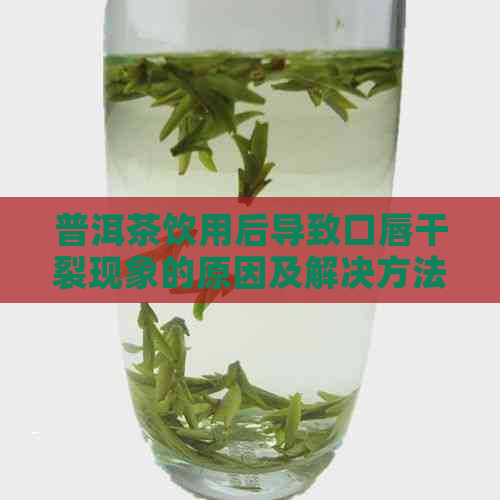 普洱茶饮用后导致口唇干裂现象的原因及解决方法