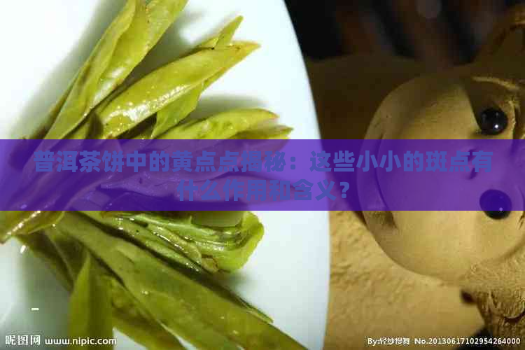 普洱茶饼中的黄点点揭秘：这些小小的斑点有什么作用和含义？