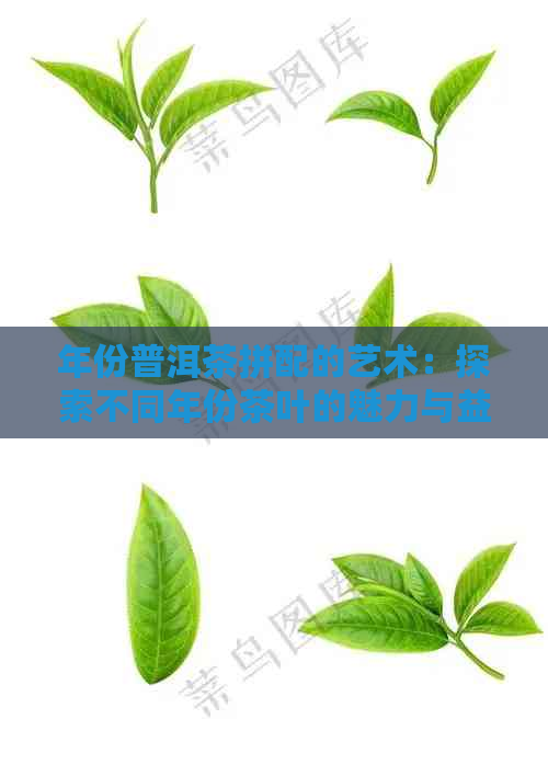 年份普洱茶拼配的艺术：探索不同年份茶叶的魅力与益处