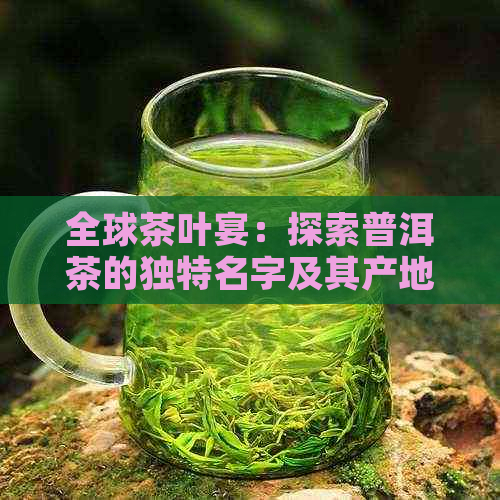 全球茶叶宴：探索普洱茶的独特名字及其产地