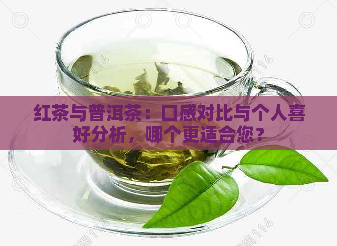 红茶与普洱茶：口感对比与个人喜好分析，哪个更适合您？