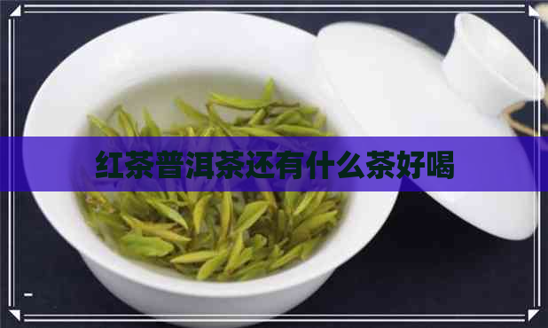 红茶普洱茶还有什么茶好喝