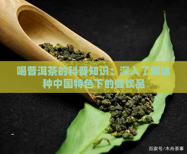 喝普洱茶的科普知识：深入了解这种中国特色下的健饮品