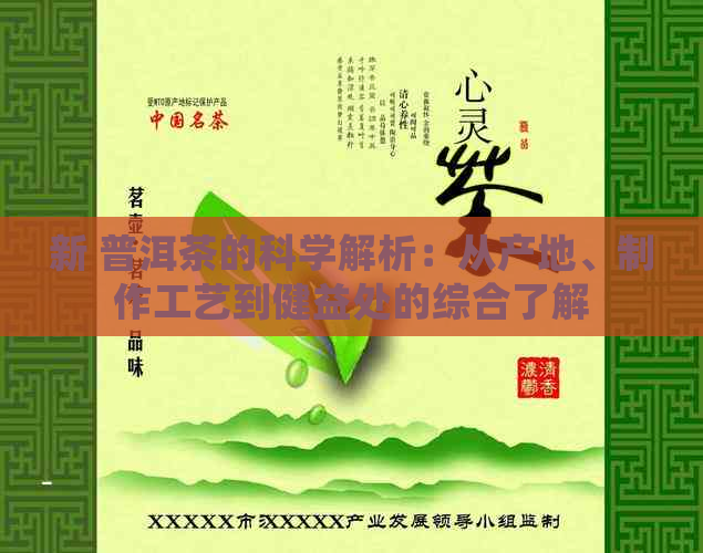 新 普洱茶的科学解析：从产地、制作工艺到健益处的综合了解