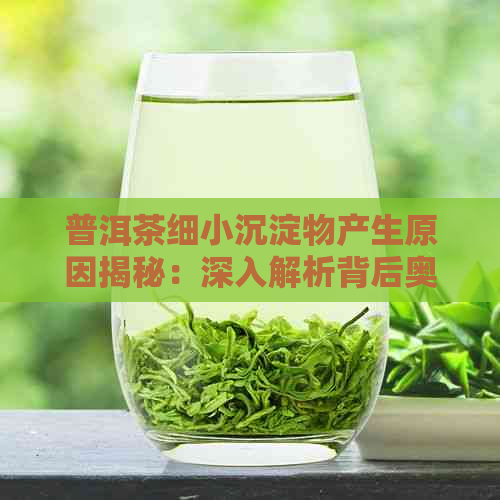 普洱茶细小沉淀物产生原因揭秘：深入解析背后奥秘