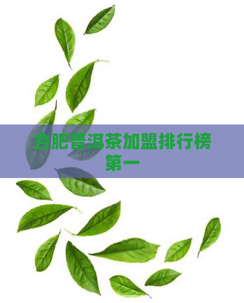 合肥普洱茶加盟排行榜之一