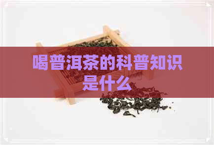 喝普洱茶的科普知识是什么