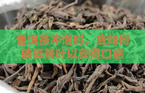 普洱茶冲泡时，应如何破碎茶叶以获得口感？