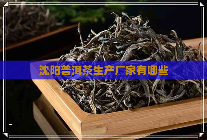 沈阳普洱茶生产厂家有哪些