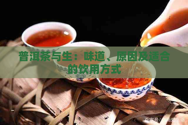 普洱茶与生：味道、原因及适合的饮用方式