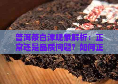 普洱茶白沫现象解析：正常还是品质问题？如何正确饮用避免影响口感？