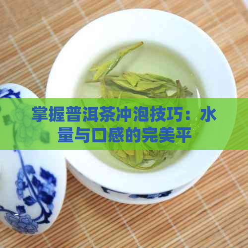 掌握普洱茶冲泡技巧：水量与口感的完美平