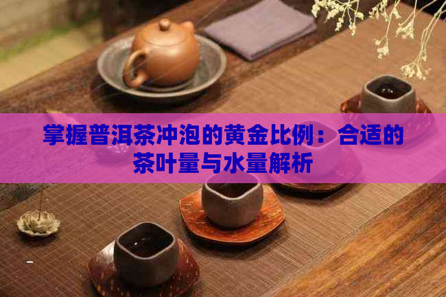 掌握普洱茶冲泡的黄金比例：合适的茶叶量与水量解析