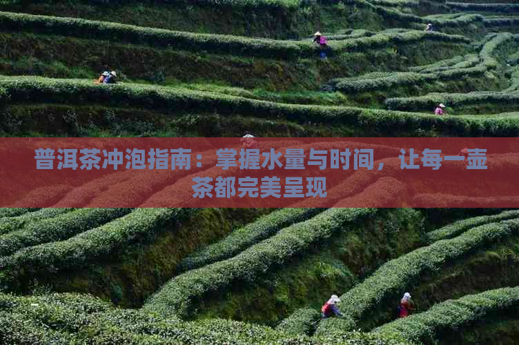 普洱茶冲泡指南：掌握水量与时间，让每一壶茶都完美呈现