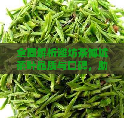 全面解析潍坊茶博城茶叶品质与口碑，助您轻松挑选优质好茶！