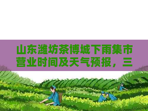 山东潍坊茶博城下雨集市营业时间及天气预报，三期建设情况如何？