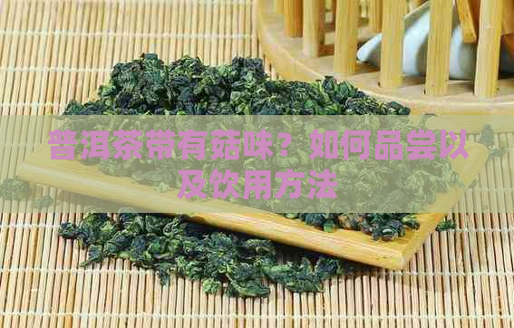 普洱茶带有菇味？如何品尝以及饮用方法