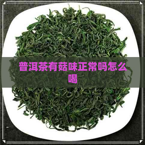 普洱茶有菇味正常吗怎么喝