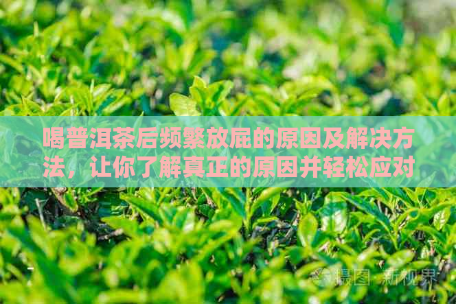 喝普洱茶后频繁放屁的原因及解决方法，让你了解真正的原因并轻松应对