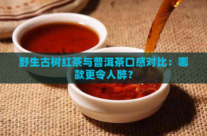 野生古树红茶与普洱茶口感对比：哪款更令人醉？